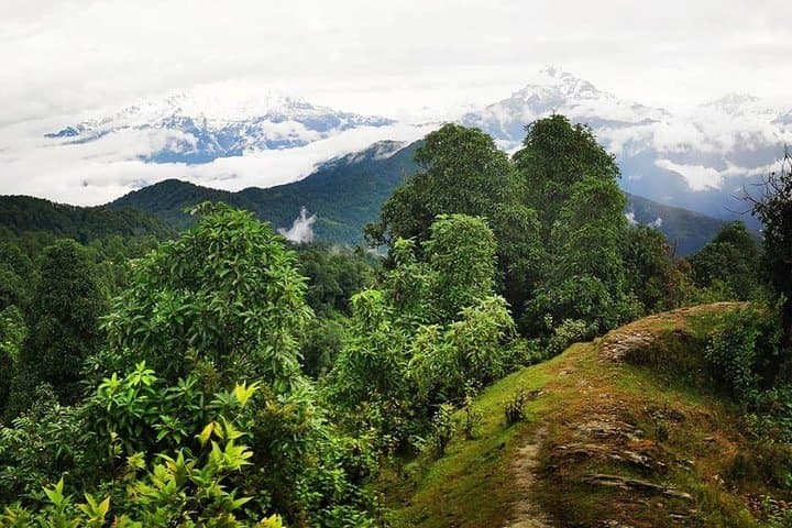 Australian Camp (Thulo Kharka) Day Hike — Annapurna Panorama from Pokhara photo 5