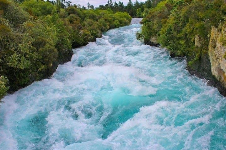 Redwood Forest, Blue Spring & Huka Falls — Day Tour from Auckland photo 2
