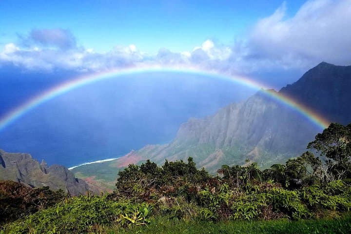 Private Waimea Canyon Tour: Waipo'o Falls, Kalalau Lookout & Poipu Beach Wildlife