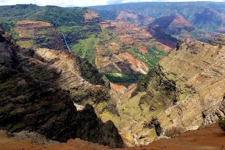 Private Waimea Canyon Tour: Waipo'o Falls, Kalalau Lookout & Poipu Beach Wildlife photo 2