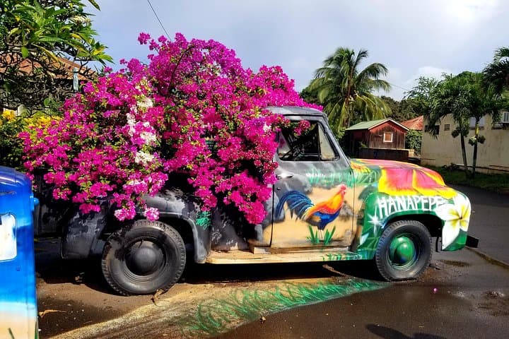 Private Waimea Canyon Tour: Waipo'o Falls, Kalalau Lookout & Poipu Beach Wildlife photo 3