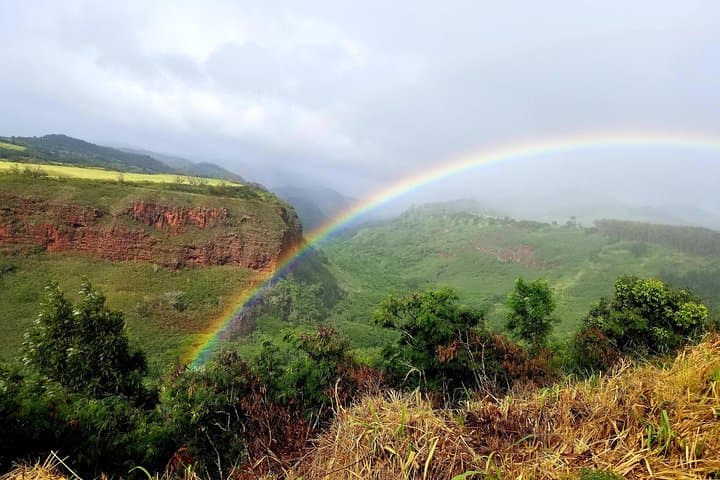 Private Waimea Canyon Tour: Waipo'o Falls, Kalalau Lookout & Poipu Beach Wildlife photo 4
