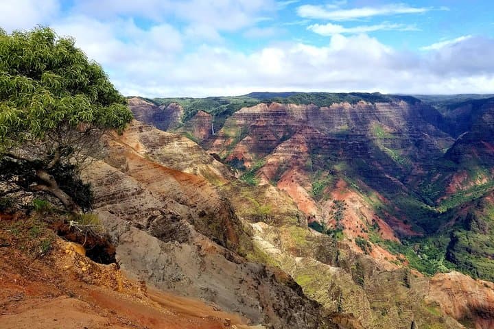 Private Waimea Canyon Tour: Waipo'o Falls, Kalalau Lookout & Poipu Beach Wildlife photo 5