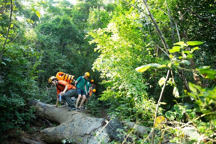 Abandoned Valley Trek and E Cave Swim: Phong Nha Day Adventure photo 5