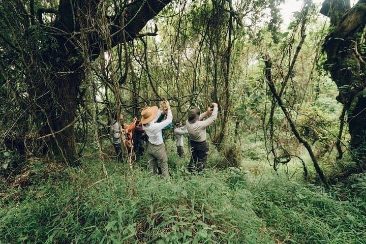 3-Day Chitwan National Park Wildlife Safari from Kathmandu photo 2