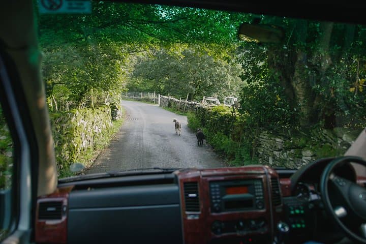 Private Lake District Day Trip from Liverpool — Tarn Hows, Hawkshead & Coniston photo 6