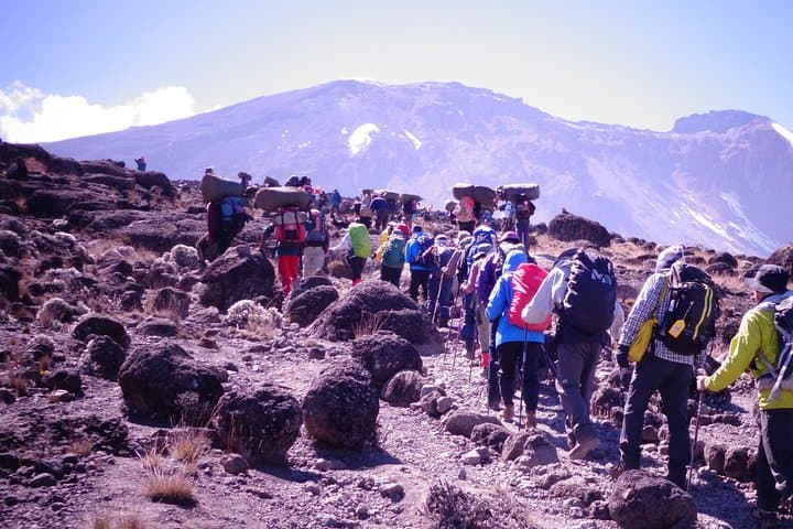 1-Day Kilimanjaro Hike via Machame Route — Round-Trip to Machame Camp photo 2