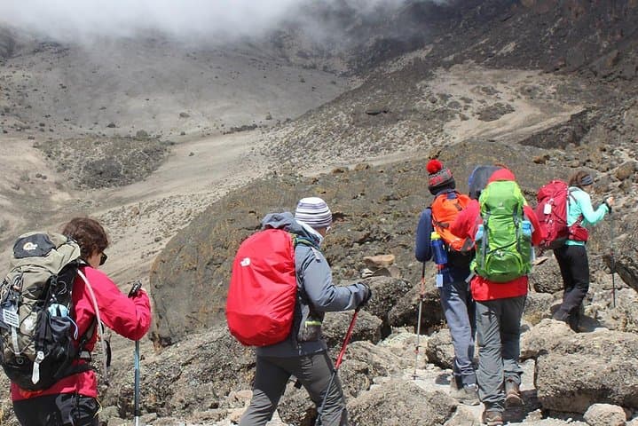 1-Day Kilimanjaro Hike via Machame Route — Round-Trip to Machame Camp photo 4