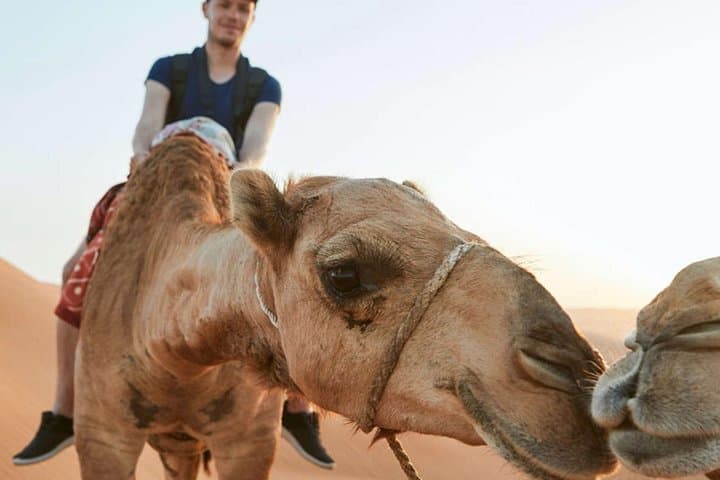 Sunset 4x4 Desert Safari in Dubai: Dune Bashing, BBQ & Live Shows photo 6