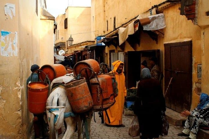 Full-Day Guided Fez Medina Walking Tour: Tannery, Nejjarine & Royal Gates photo 4