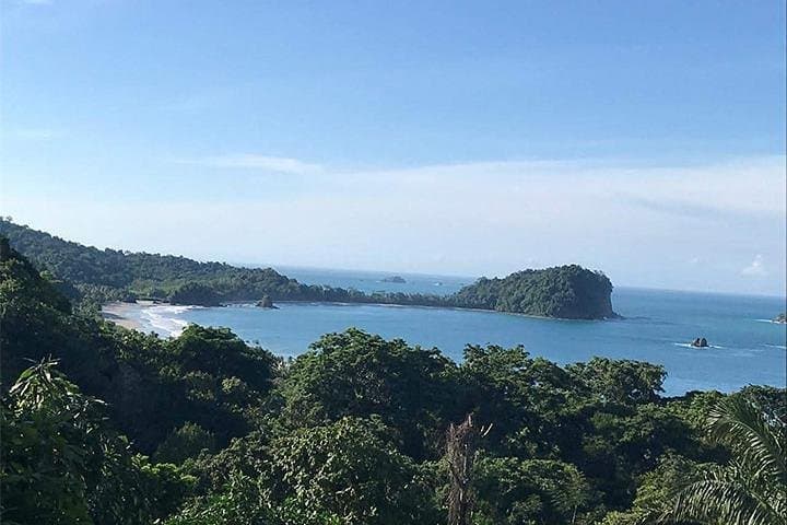 Manuel Antonio Guided Wildlife Walk — Best Morning Tours in Costa Rica's Pacific Rainforest photo 2