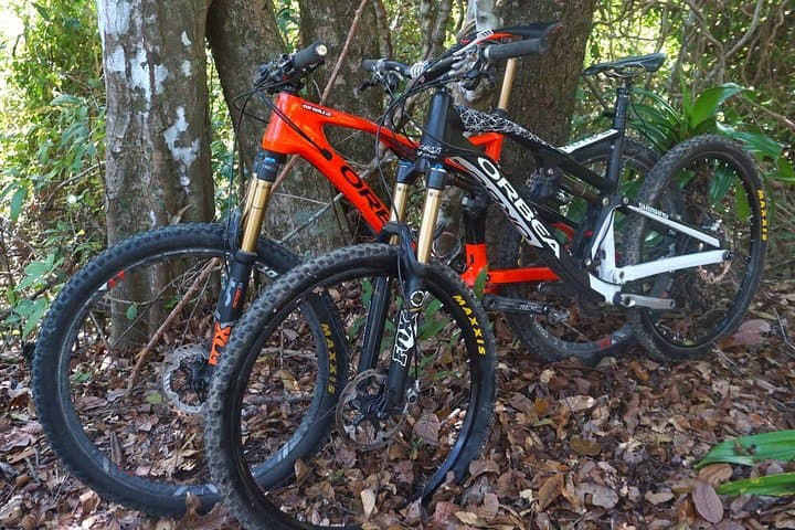Montezuma Jungle Mountain Bike Adventure — Coastal Trails & Secret Waterfalls photo 4