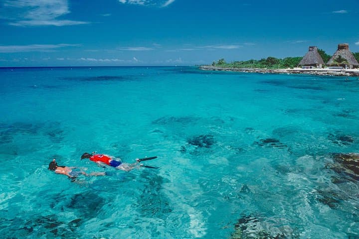 Snorkel El Cielo, Palancar & Colombia Reefs — Cozumel Day Trip from Playa del Carmen photo 4