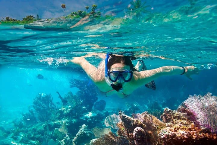 Snorkel El Cielo, Palancar & Colombia Reefs — Cozumel Day Trip from Playa del Carmen photo 6