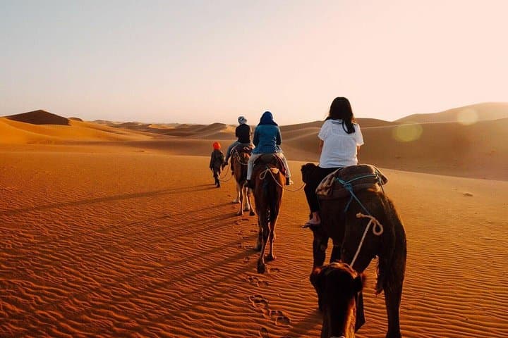 Fez to Marrakech via Merzouga: 2-Day Sahara Desert Tour with Camel Trek photo 4