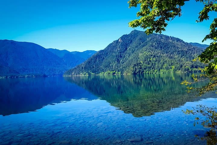 Olympic National Park Day Tour from Seattle — Hurricane Ridge, Lake Crescent & Pacific Coast photo 3