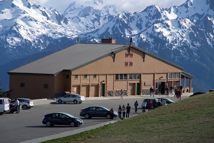 Olympic National Park Day Tour from Seattle — Hurricane Ridge, Lake Crescent & Pacific Coast photo 2