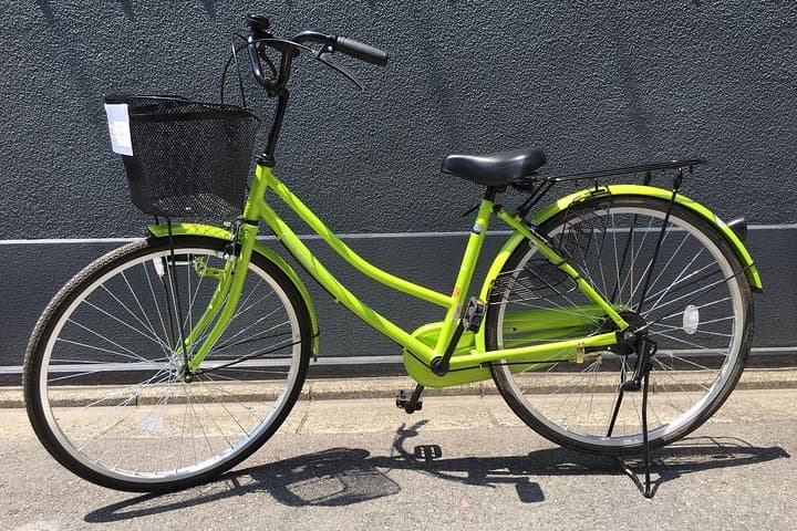 Pedal Kyoto: All-Day City Cycle Through Historic Streets