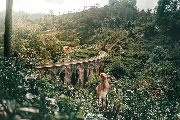 Ella Rock, Nine Arch Bridge & Little Adam's Peak: Full-Day Hike with Lunch