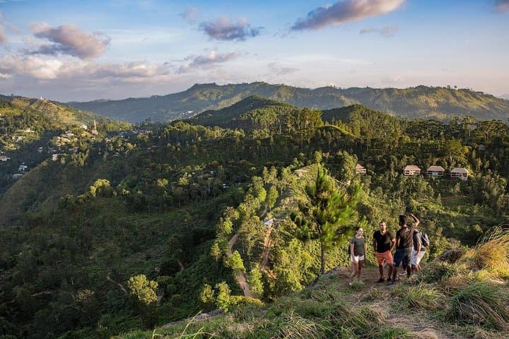 Ella Rock, Nine Arch Bridge & Little Adam's Peak: Full-Day Hike with Lunch photo 3
