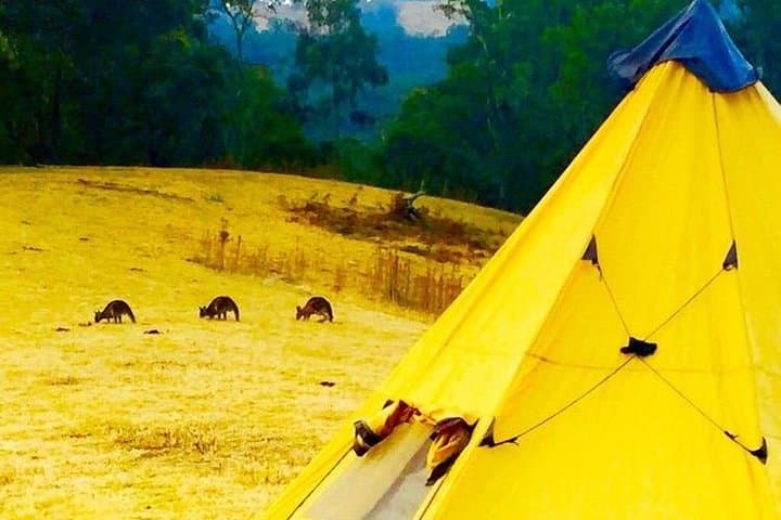 Blue Mountains 4x4 Overnight: Into the Wild Camping Adventure