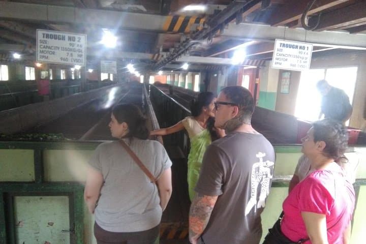 Private All-Inclusive Day Tour: Kandy, Pinnawala & Peradeniya from Negombo photo 6