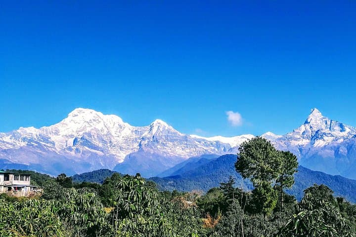 Dhampus & Australian Camp: 1 Night, 2 Days Best Hiking from Pokhara photo 3
