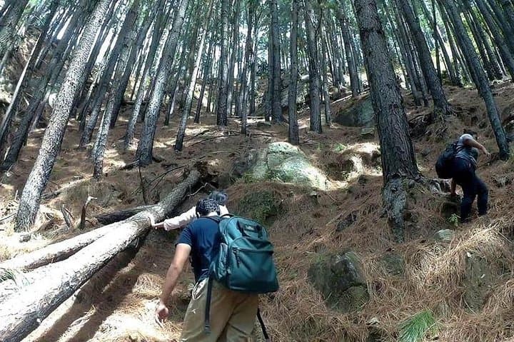 Trek to Bambarakanda Falls — Hike to Sri Lanka’s Highest Waterfall from Ella photo 2