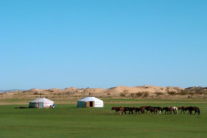 3-Day Mongolian Heartland: Kharkhorin, Khugnu Khaan & Takhi Wild Horses