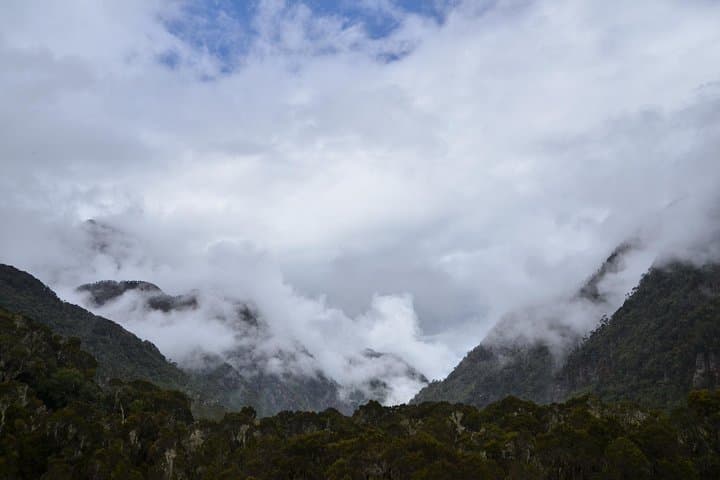 Rwenzori 9-Day Trek: Margherita Summit Expedition in Uganda photo 3