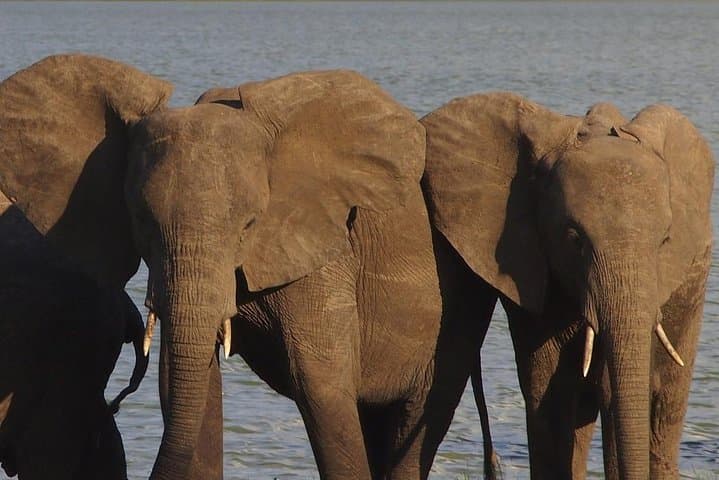 10-Day Namibia Guided Camping: Etosha, Sossusvlei & the Skeleton Coast