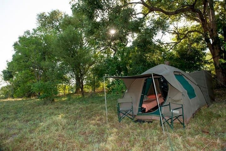 Two-Day Camping Safari in Chobe National Park: Camp, Cruise & Close Encounters photo 4