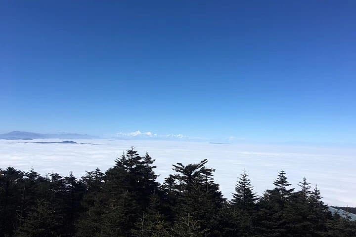 Leshan & Mt Emei: 2-Day High-Speed Train Cultural, Hiking & Sunrise Escape photo 5