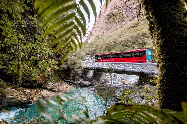Milford Sound Coach & Nature Cruise from Queenstown — Full-Day Scenic Journey photo 4