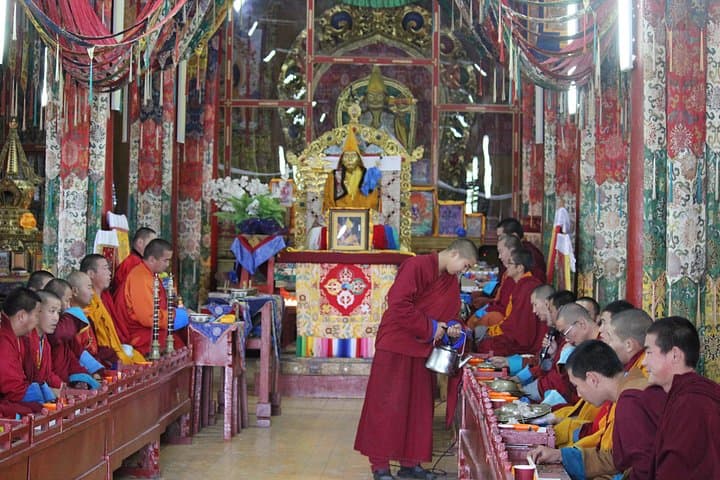 Kharkhorin & Khustai: 2-Day Cultural and Wildlife Circuit from Ulaanbaatar photo 3