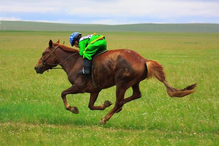 Naadam Festival in Ulaanbaatar: 2-Day Immersive Experience of Wrestling, Horse Racing & Archery