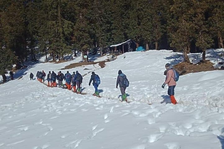 Kedarkantha Trek: 6-Day Snow Trek from Sankri into Govind Wildlife Sanctuary photo 3