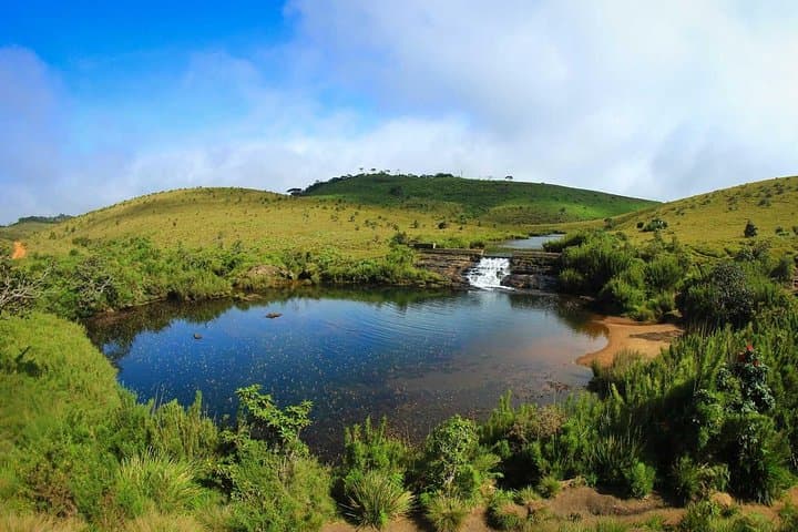 Horton Plains Day Hike from Ella: Train Ride to World’s End & Baker’s Falls photo 4