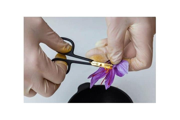 Harvesting Saffron on Paris Rooftops: Urban Rooftop Garden Experience photo 3