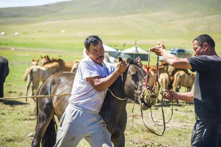 12-Day Gobi Desert & Express Mongolia Adventure photo 3