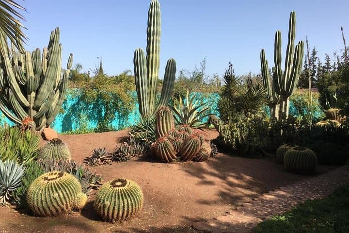 Ourika Waterfalls, Anima Art Garden & Saffron Garden Day Tour from Marrakech