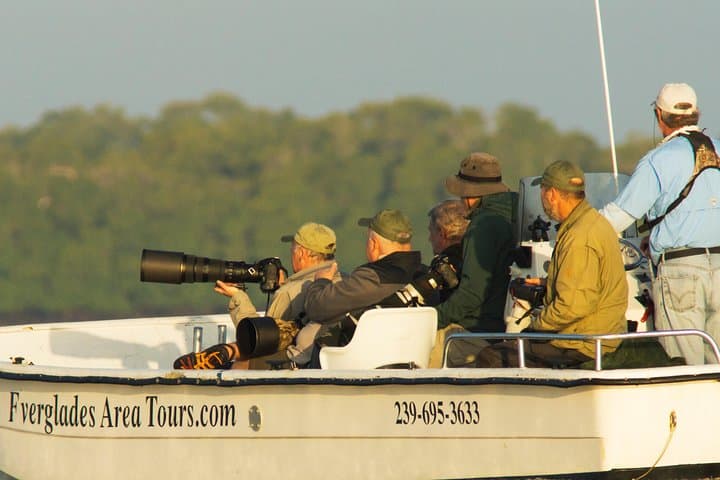 Two-Hour Everglades Dolphin, Manatee and Birding Boat Tour: What to Expect