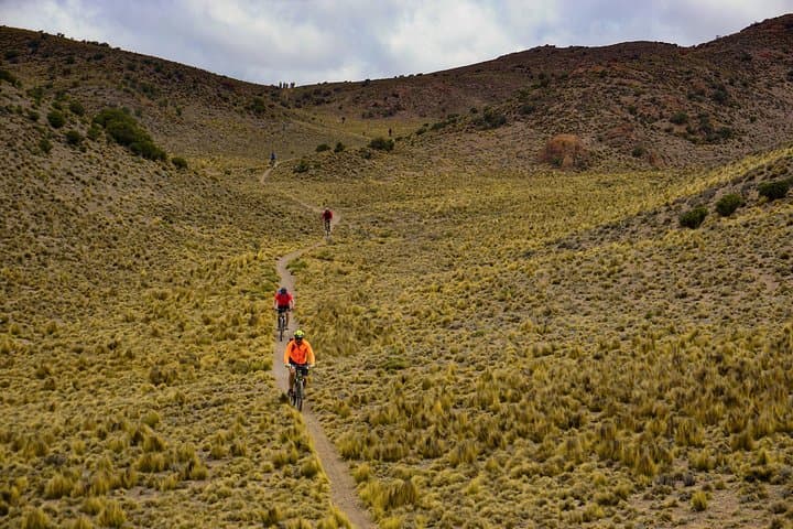Full-Day Mountain Biking at Pampa de Canota — Andes Downhill from Mendoza photo 2