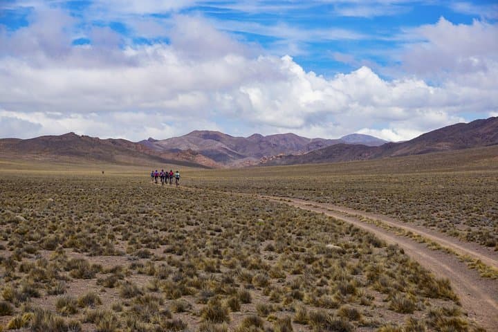 Full-Day Mountain Biking at Pampa de Canota — Andes Downhill from Mendoza photo 3