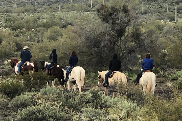 Sonoran Desert Horseback Trail Rides — Tonto National Forest Near Phoenix photo 3