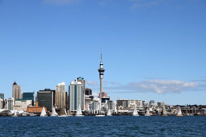 Private Auckland City Tour in a Luxury Vehicle — 5-Hour Small-Group Highlights
