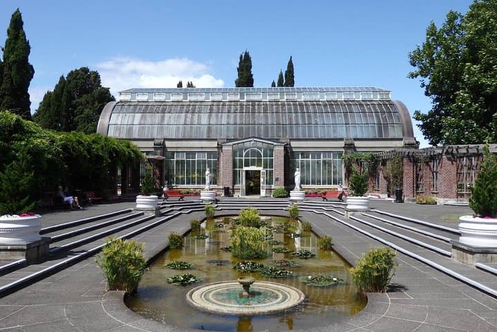 Private Auckland City Tour in a Luxury Vehicle — 5-Hour Small-Group Highlights photo 4