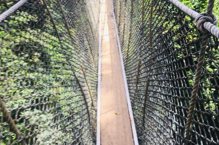 Cape Coast History and Kakum Canopy Walk — One-Day Active Adventure photo 5