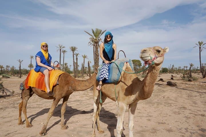 Sunset Camel Ride in Marrakech Palm Grove — Evening Camel Trek & Mint Tea Experience photo 4