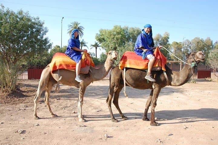 Sunset Camel Ride in Marrakech Palm Grove — Evening Camel Trek & Mint Tea Experience photo 6